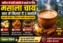 बारिश के मौसम में अदरक, दालचीनी और काली मिर्च से बनी मसाला चाय का कप।