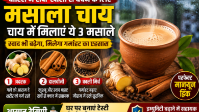 बारिश के मौसम में अदरक, दालचीनी और काली मिर्च से बनी मसाला चाय का कप।