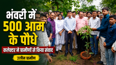 भंवरी में लगाए 500 आम के पौधे, कलेक्टर ने ग्रामीणों से किया संवाद