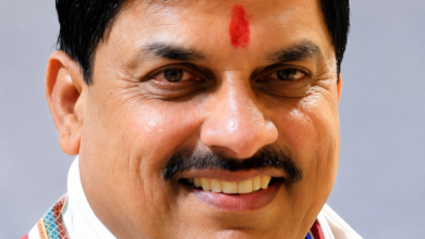 मुख्यमंत्री डॉ. मोहन यादव 6 जुलाई को भोपाल के सतगढ़ी में स्मार्ट इंडस्ट्रियल पार्क का भूमि-पूजन एवं शिलान्यास करेंगे।