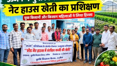 उज्जैन में युवा किसानों को नेट हाउस खेती का प्रशिक्षण