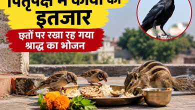 पितृपक्ष में कौवों का इंतजार, छतों पर रखा रह गया श्राद्ध का भोजन