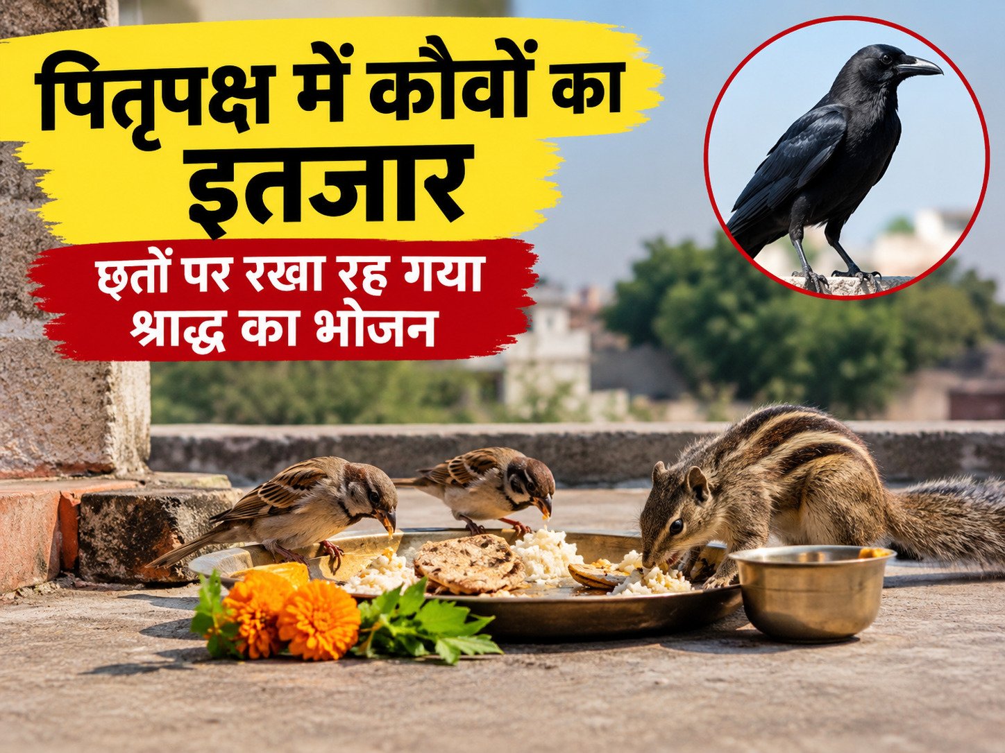 पितृपक्ष में कौवों का इंतजार, छतों पर रखा रह गया श्राद्ध का भोजन